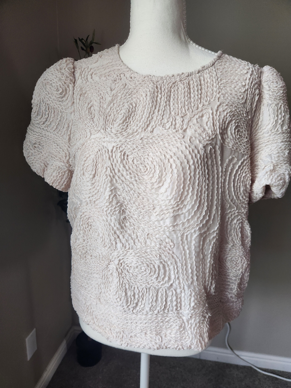 Adrianna Papell Cream Textured Bubble Short-Sleeve Blouse